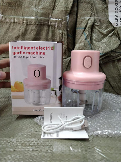Electric Mini Vegetable Chopper 250ml