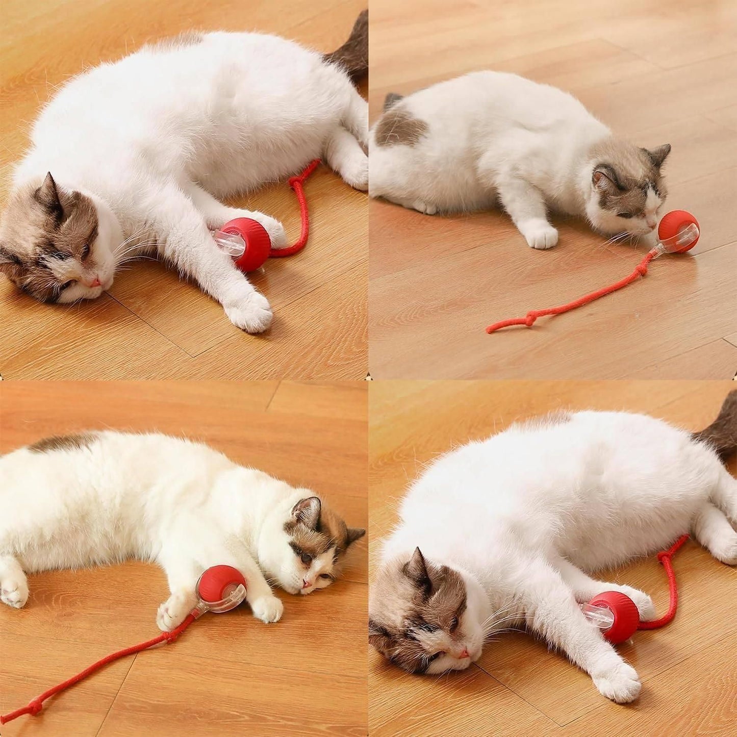 Smart Interactive Cat Ball Toy with LED Modes for Indoor Cats