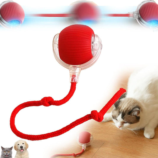 Smart Interactive Cat Ball Toy with LED Modes for Indoor Cats