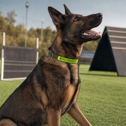 Heavy Duty Nylon Dog Collar  Reflective  Adjustable For Active Dogs